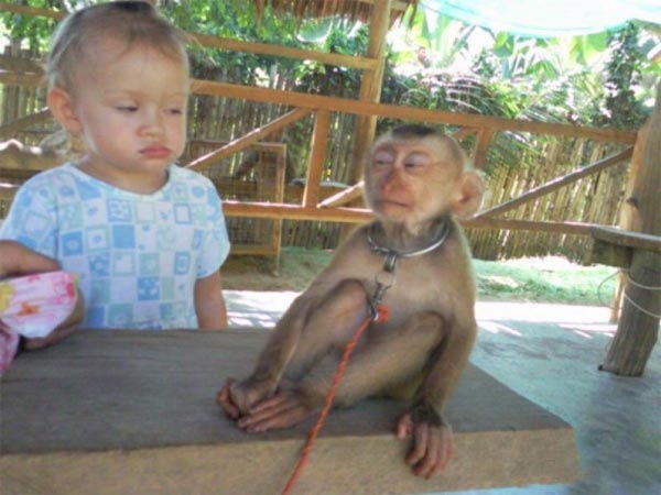 Baby and monkey stink eye