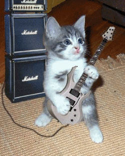 Kitty Guitar