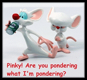 Pinky and the Brain. Are you pondering what I'm pondering Pinky?
