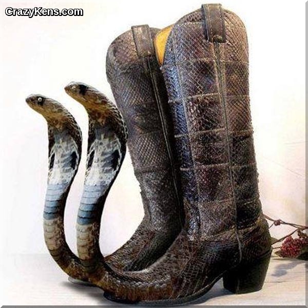 Now these are snakeskin boots