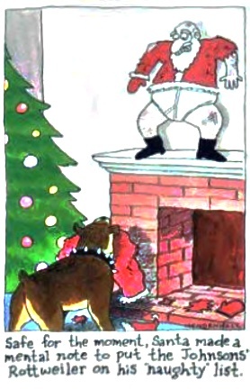 Santa made a mental not to put the Johnson rottweiler on his naughty list