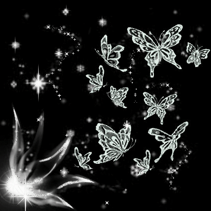Black-and-White-Butterflies-enb.gif