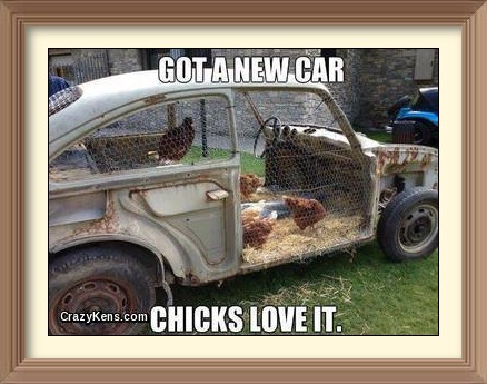 Chicken Coop 