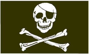 Skull And Bones Patch On Eye Flag